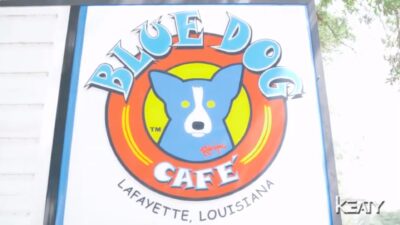blue dog cafe